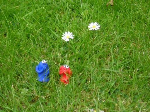 Daisy Trees
